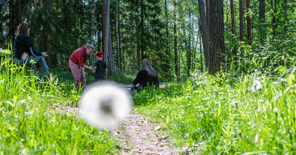 Ut och njut, upptäck naturen! Inspiration till kravlösa naturäventyr. Upplev rörelseglädje, gemenskap och återhämtning.