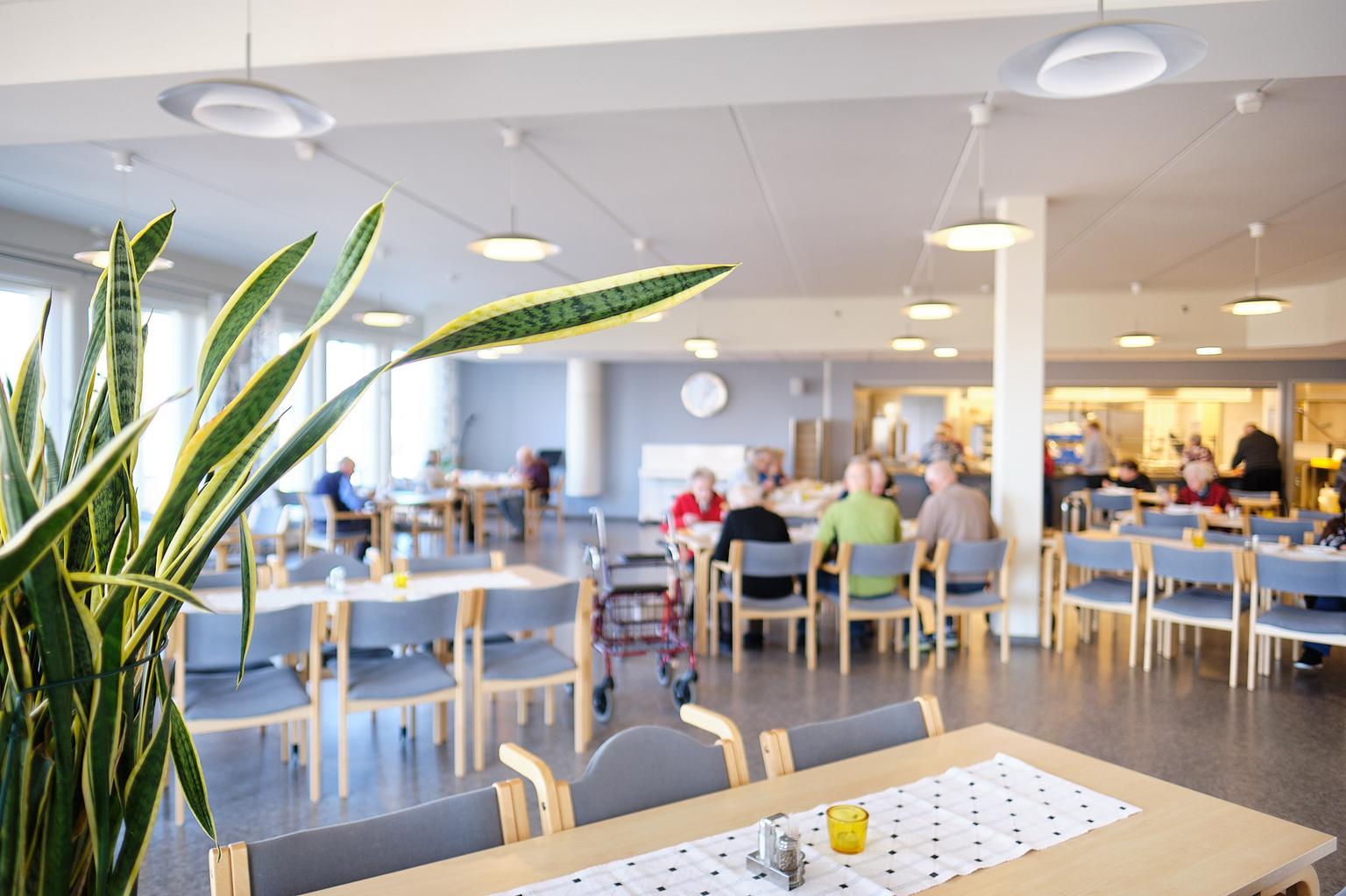 Valoisa lounasravintola, jossa on puupöytiä ja harmaalla verhoilulla varustettuja tuoleja. Pöydät on koristeltu valkoisilla liinoilla ja pienillä kynttilälyhdyillä. Etualalla näkyy vihreä kasvi, ja taustalla asiakkaat ruokailevat eri pöydissä. Ravintolassa on suuret ikkunat ja moderni ilme.