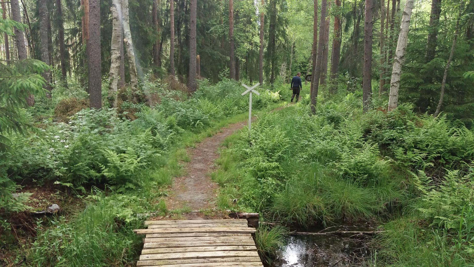 En skogsstig slingrar sig genom tät vegetation. En liten träbro korsar en bäck i förgrunden, och längre fram syns en person som går längs stigen. En skylt står vid sidan av vägen.