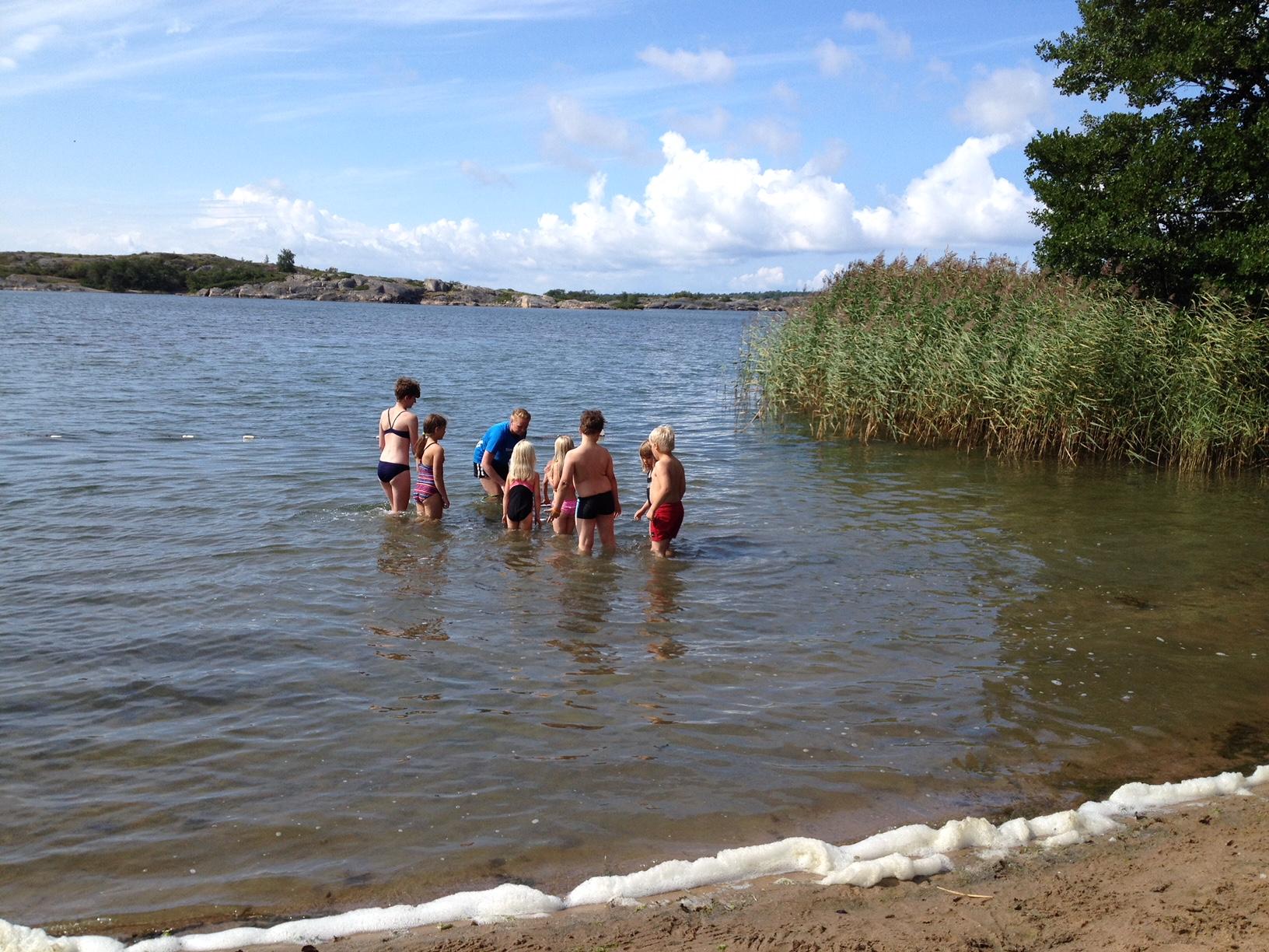 En grupp barn och en vuxen står i grunt vatten vid en sandstrand. De verkar delta i en simundervisning eller lek i vattnet. I bakgrunden syns vass, träd och klippor vid havet.