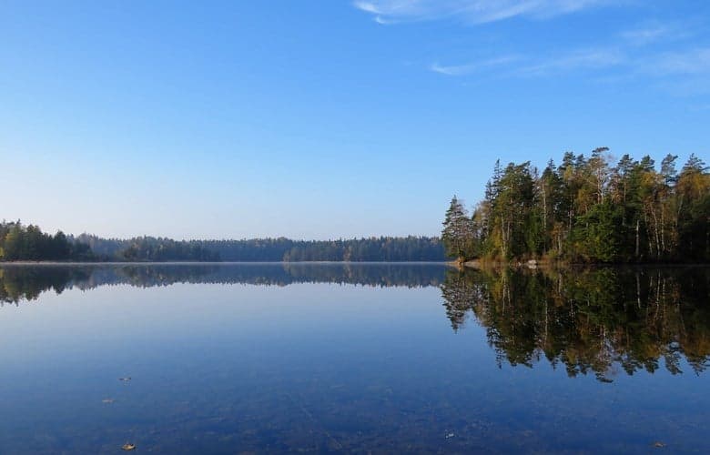 En spegelblank sjö omgiven av skog under en klarblå himmel. Höstfärgerna speglas vackert i vattnet.
