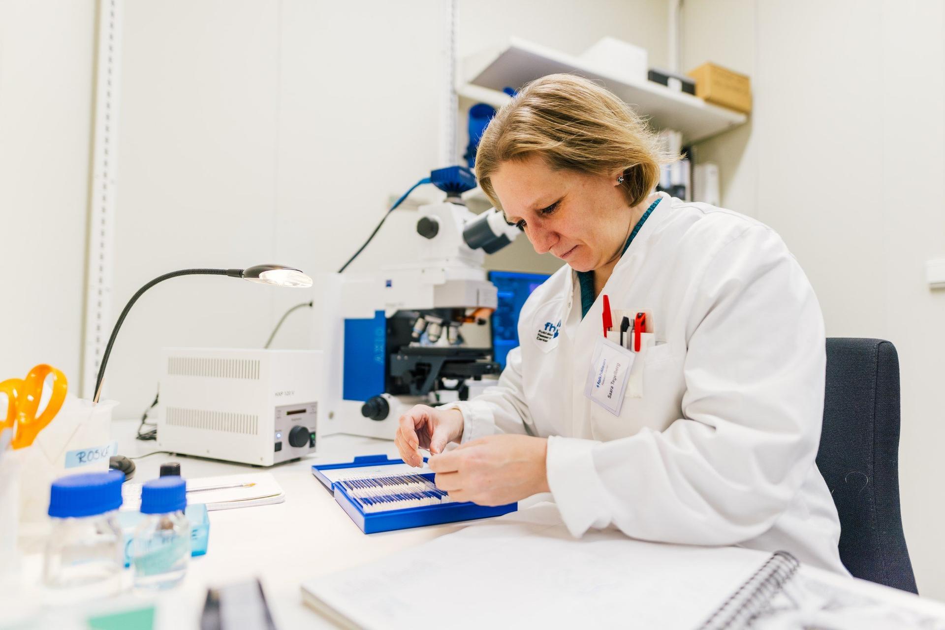 A lab technician in a white coat prepares microscope slides at a workbench, with a microscope and lab lamp nearby. Small bottles and lab tools are arranged on the table, suggesting careful sample handling in a research lab.