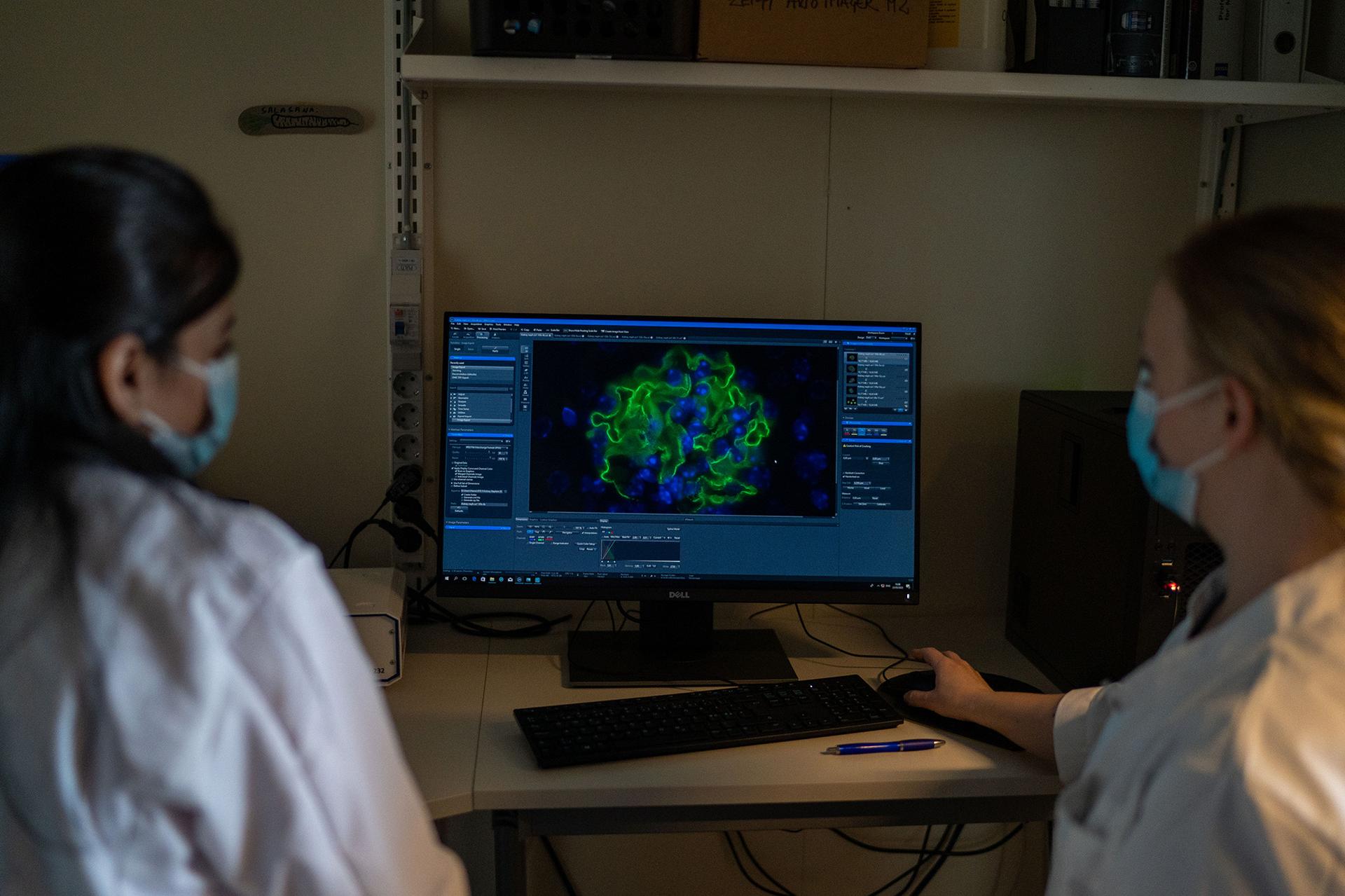 Two researchers wearing lab coats and face masks are analyzing a colorful microscopic image displayed on a computer screen. The laboratory setting suggests they are studying biological samples, with bright green and blue structures visible on the monitor.