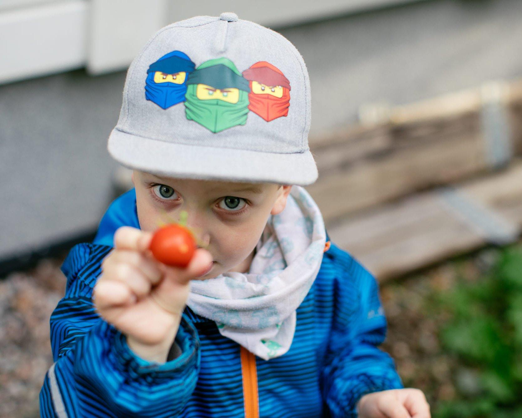 Young child in a blue jacket and gray cap holds up a freshly picked cherry tomato toward the camera. The scene is outdoors in a garden, and the cap is decorated with three masked cartoon faces.