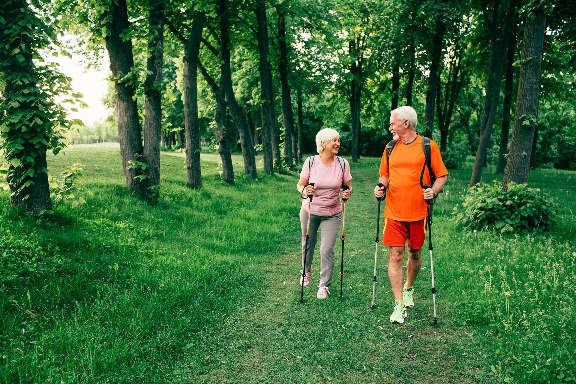 An elderly couple enjoying a walk with Nordic walking poles through a lush green park, smiling and talking together on a sunny day. The path is surrounded by tall trees and vibrant greenery, creating a peaceful and active outdoor setting.