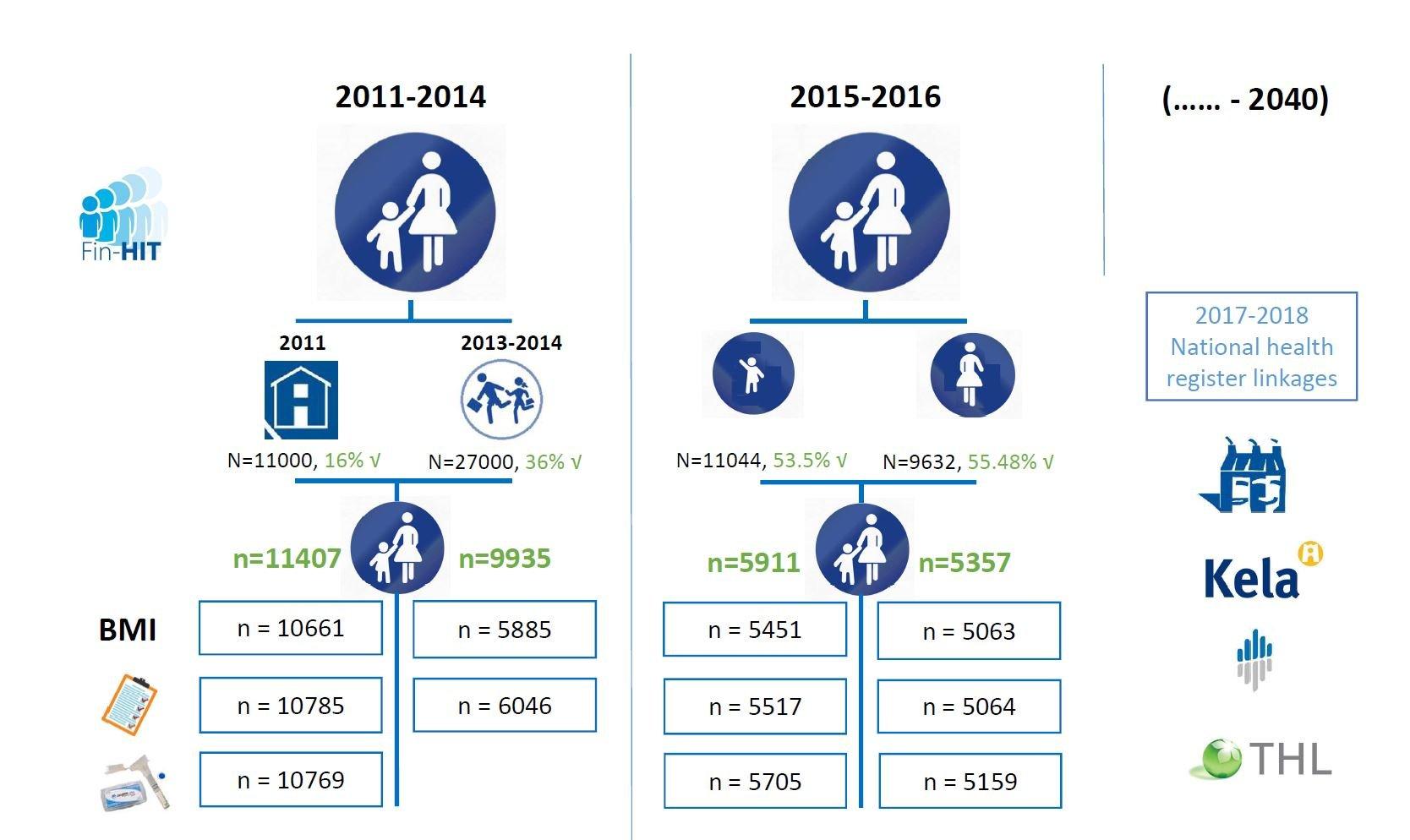 A flowchart illustrates the Fin-HIT study phases from 2011 to 2016 and its projected continuation until 2040. It presents participant numbers, BMI data collection, and national health register linkages with organizations such as Kela and THL.