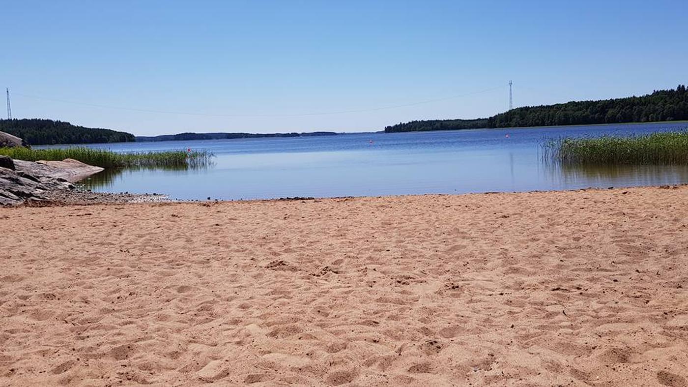 En sandstrand med lugnt vatten och blå himmel. Små vassområden kantar stranden och horisonten är fylld av grönskande skog. En idyllisk sommardag vid sjön.