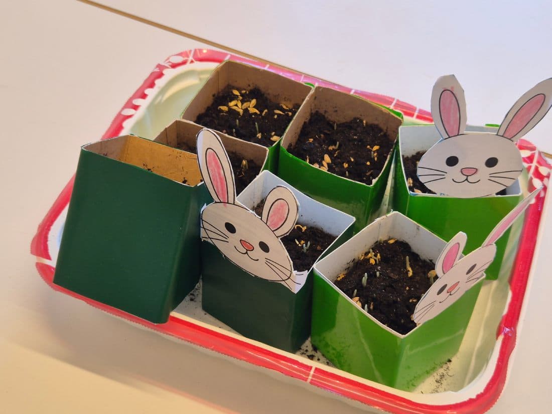 Sm&aring; sj&auml;lvgjorda l&aring;dor d&auml;r barnen odlar p&aring;skgr&auml;s.