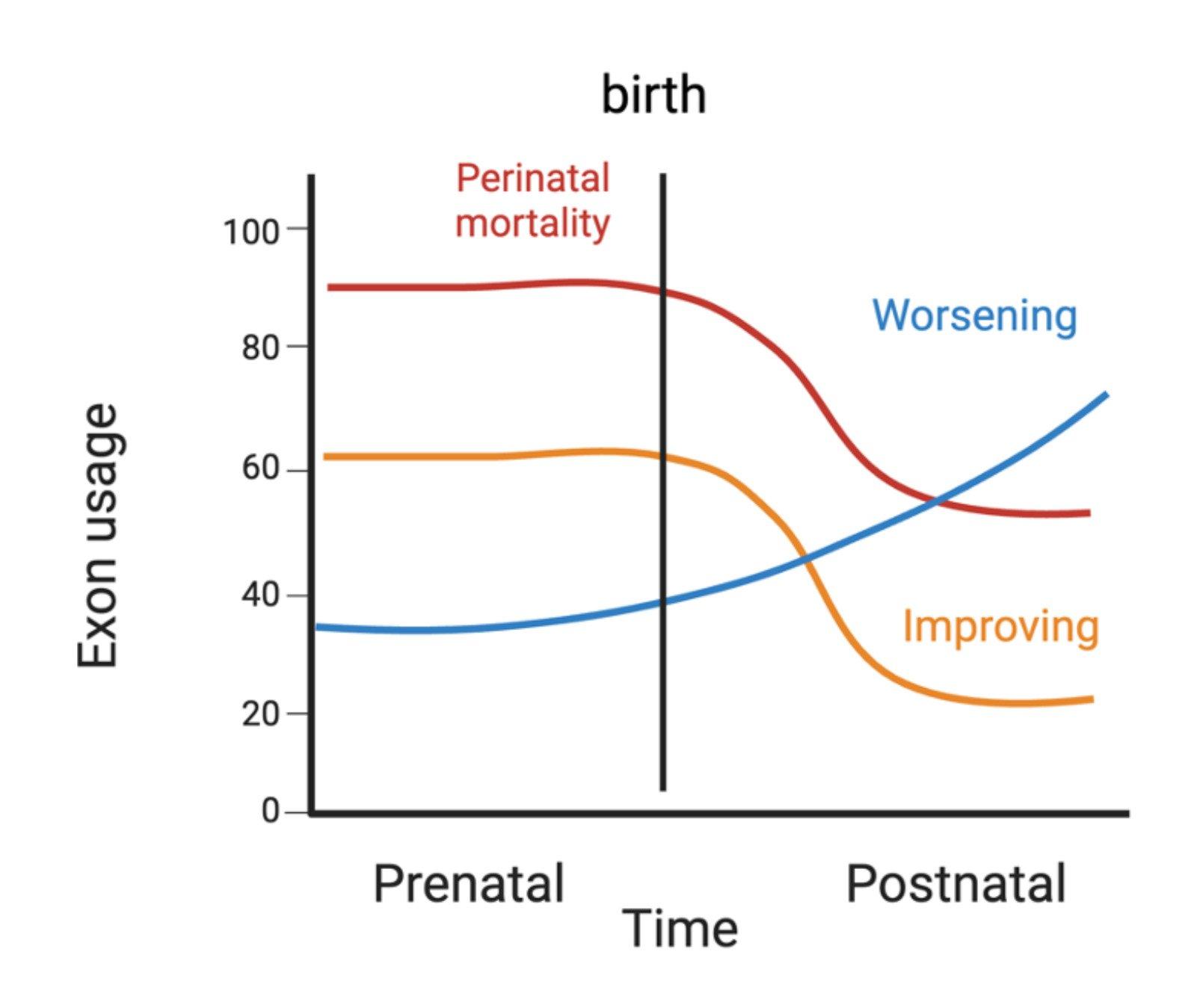 A line graph illustrates exon usage over time, divided into prenatal and postnatal phases, with birth marked by a vertical line. Three trends are shown: "Perinatal mortality" (red) remaining high before declining postnatally, "Worsening" (blue) increasing after birth, and "Improving" (orange) decreasing after birth.