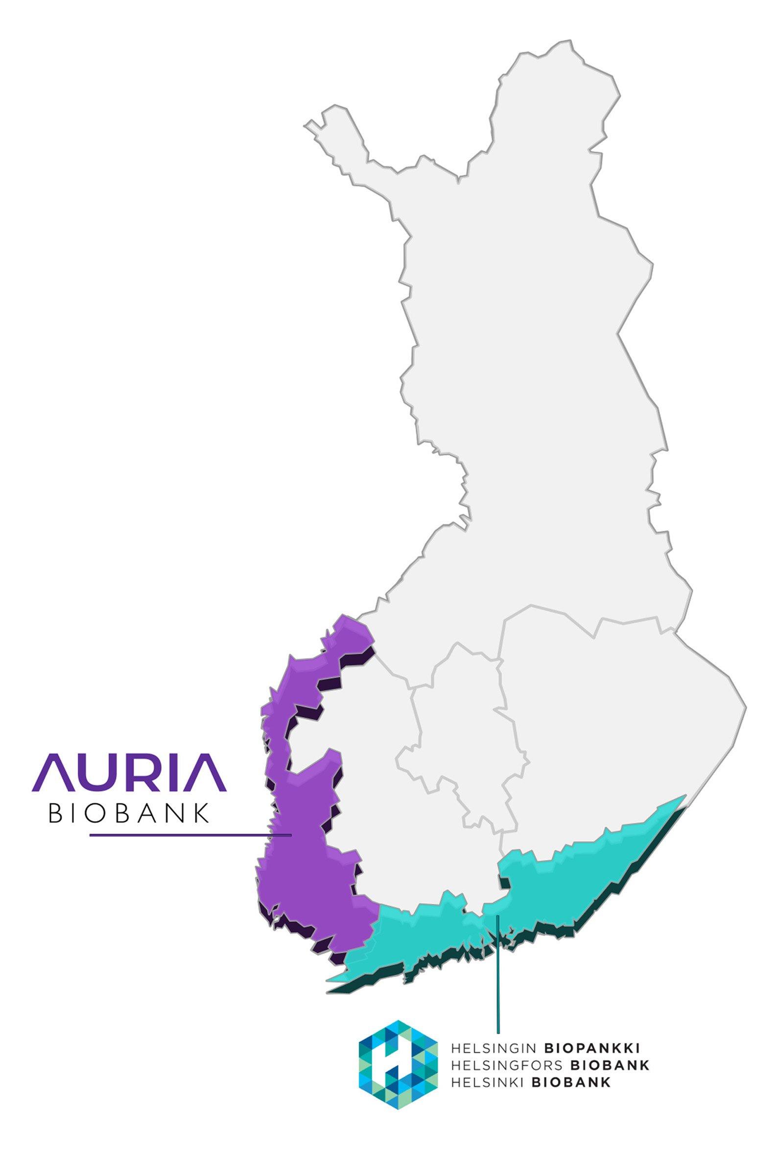 A map of Finland shows the regional coverage of two biobanks: Auria Biobank highlighted in purple and Helsinki Biobank marked in turquoise. The map visually distinguishes the areas each biobank serves along the western and southern coastal regions.
